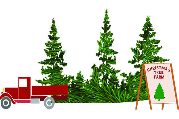 Christmas Tree Farm Illustration for Branding and Packaging